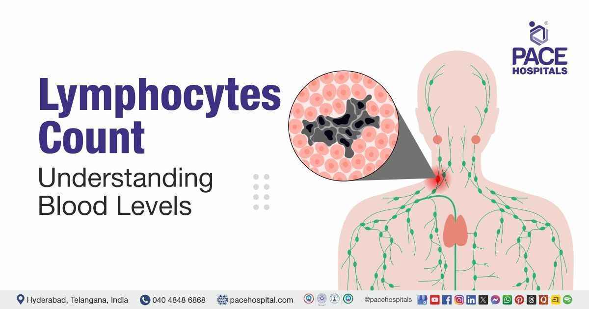 lymphocytes count, lymphocytes normal range, lymphocytosis, lymphocytopenia, high lymphocytes