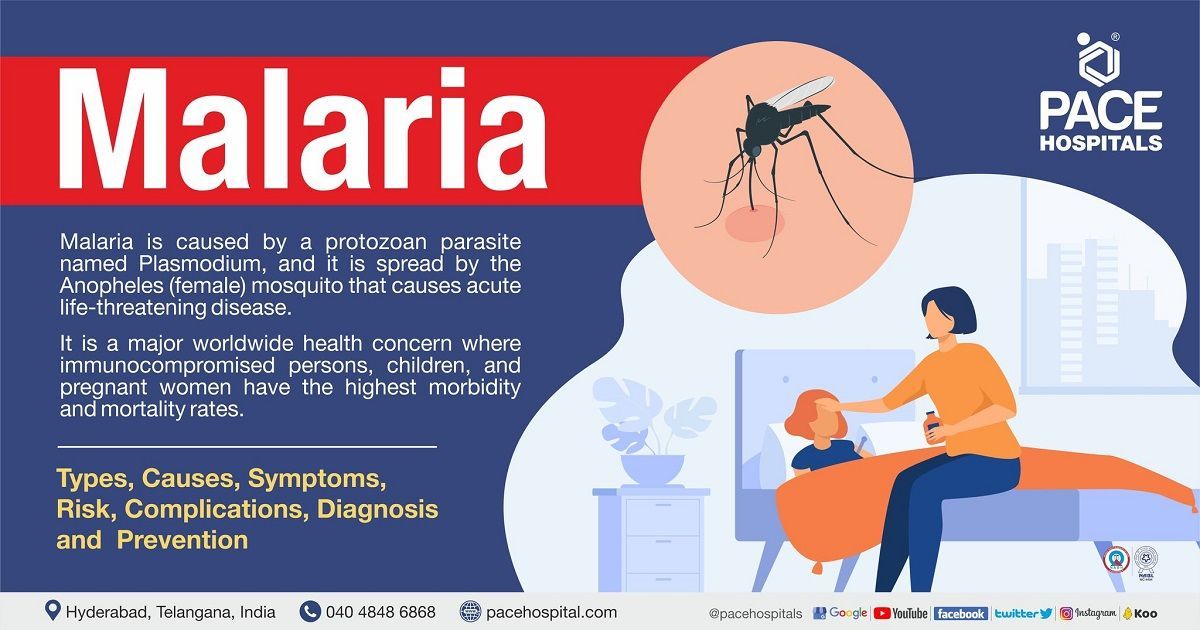Malaria Symptoms, Causes, Types, Risk Factors, Complications, Diagnosis & Prevention