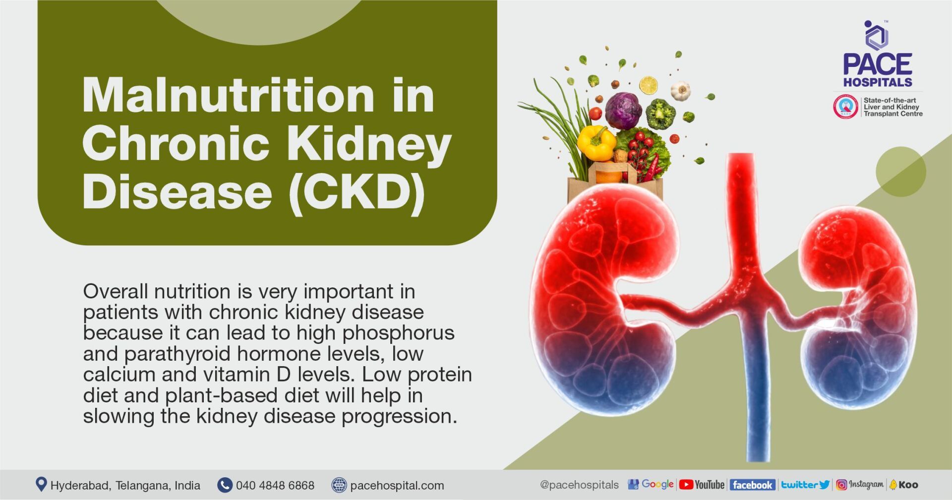 Malnutrition in Chronic Kidney Disease | Protein Energy Wasting | Nutritional therapy for CKD