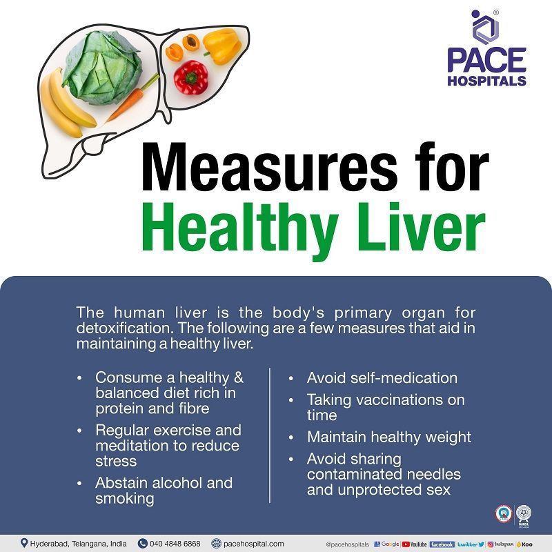 Measure for healthy Liver | healthy Liver Measures | World liver day facts | measure to keep your liver healthy | Visual depicting measures for a healthy liver.