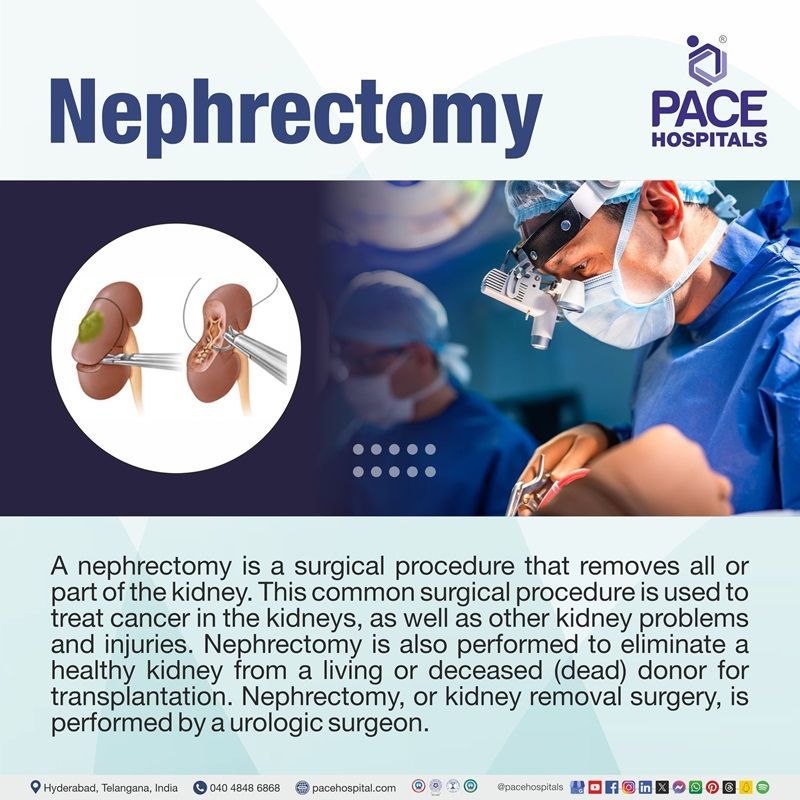 what is nephrectomy | laparoscopic nephrectomy in Hyderabad | radical nephrectomy | partial nephrectomy | nephrectomy procedure in India