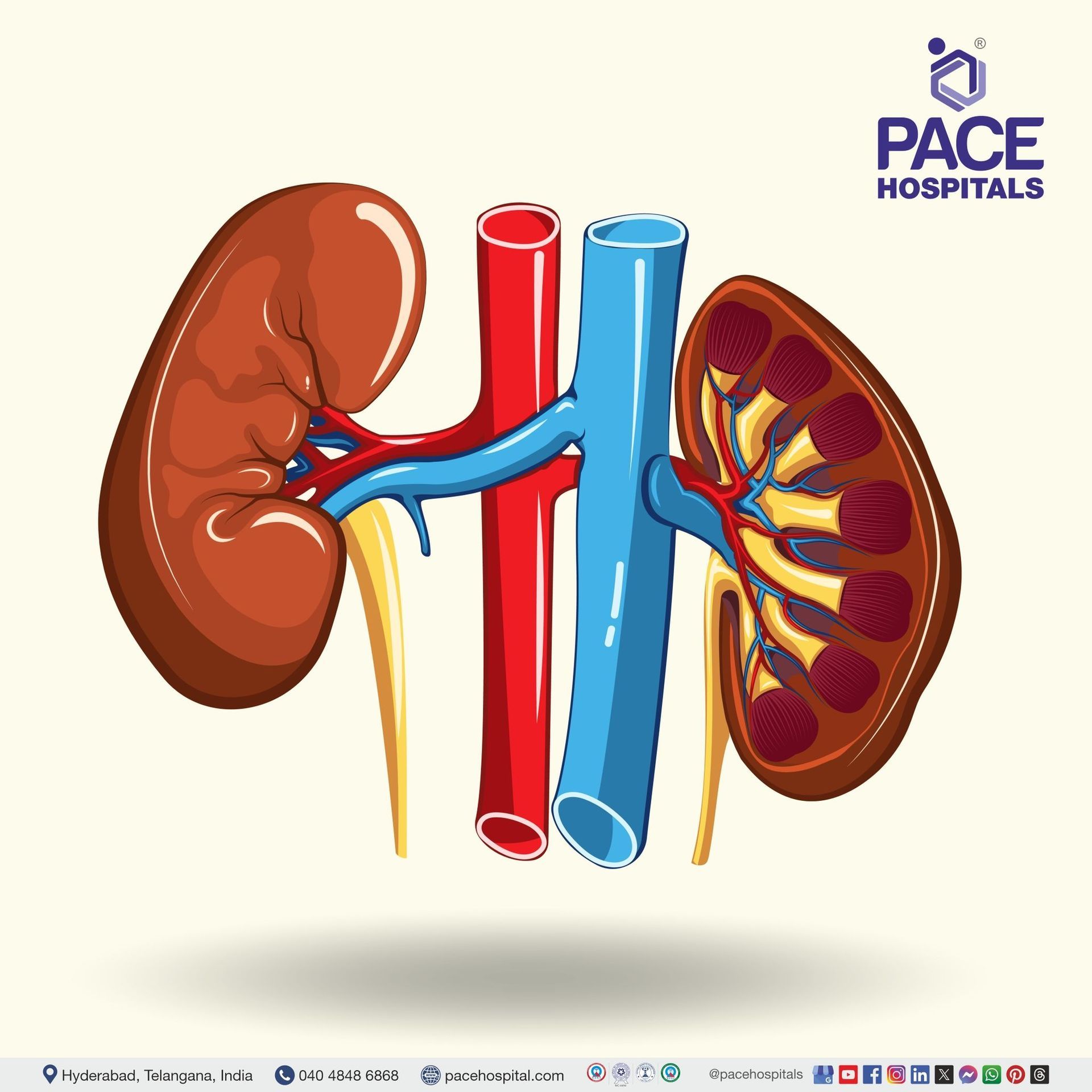 kidney disease treatment in Hyderabad | best hospital for kidney treatment in Hyderabad