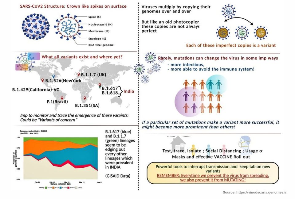 New Variants of the COVID 19 virus Worldwide