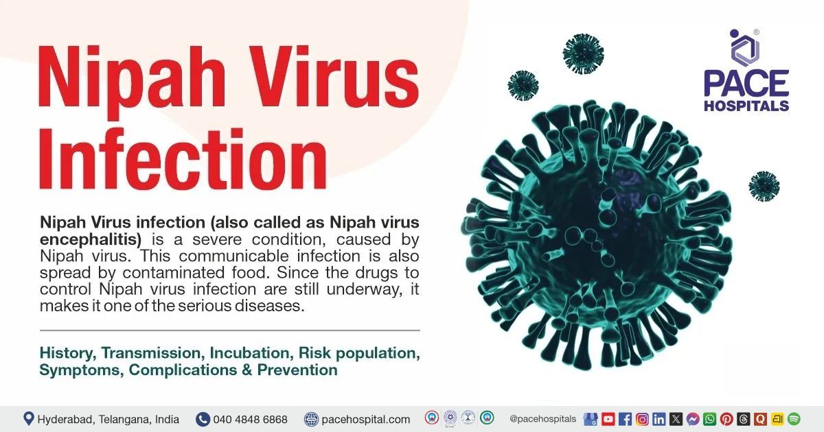 Nipah Virus - History, Symptoms, Transmission, Incubation, Complications, Prevention