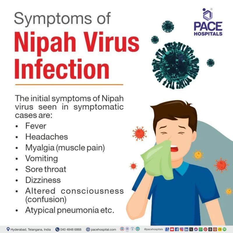 nipah virus symptoms in humans | nipah virus infection symptoms | nipah virus disease symptoms | initial symptoms of nipah virus | common symptoms of nipah virus