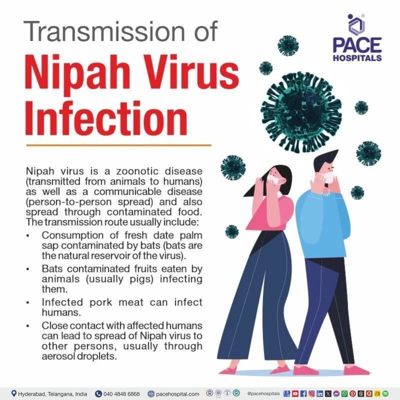 nipah virus transmission | what is nipah virus how it gets transmitted | human to human transmission of nipah virus | nipah virus transmitted through