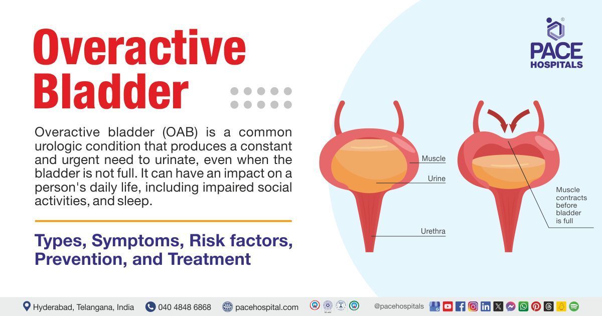 Overactive bladder- Symptoms & Causes | what is Overactive bladder | overactive bladder causes