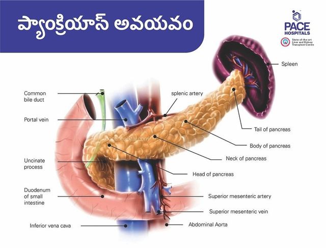 త వ రమ న ప య క ర య ట ట స మర య క ర న క ప య క ర య ట ట స