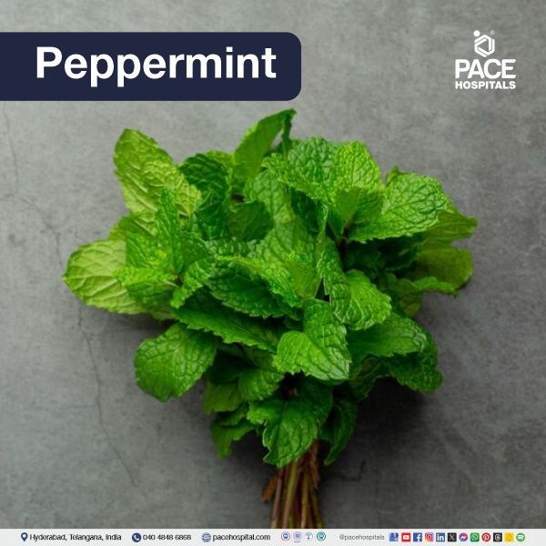 Peppermint - natural remedy for dry cough | natural home remedies for cough | natural remedies for cold and cough
