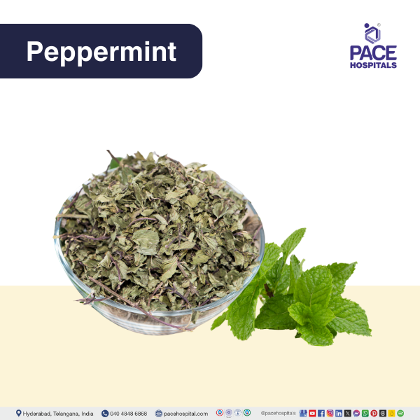 Peppermint - Mentha piperita L Peppermint - natural remedy for intestinal infection