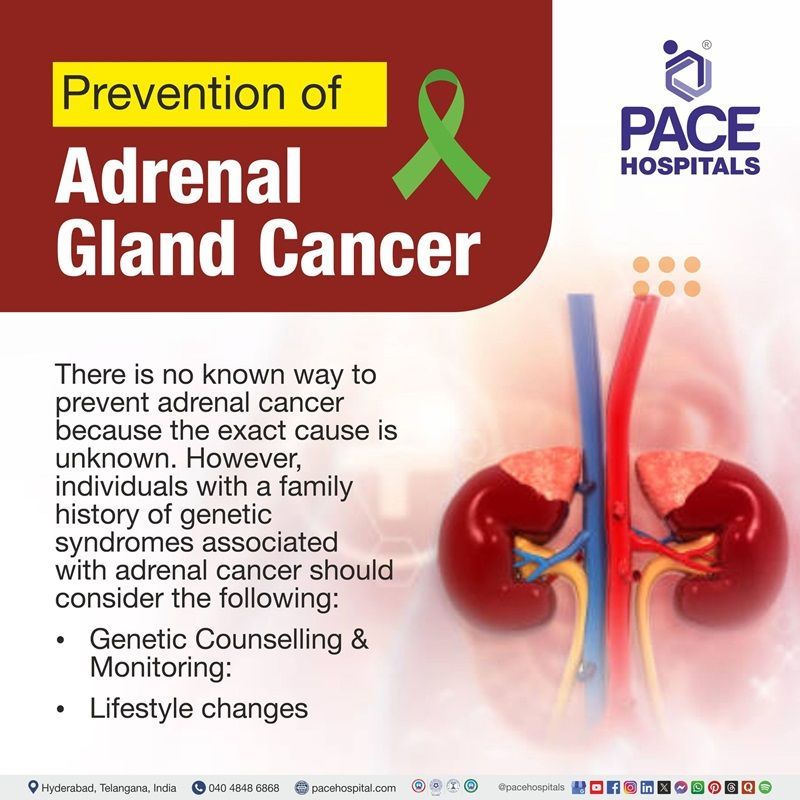 Adrenocortical carcinoma preventions | image showing the preventive measures of adrenal cancer