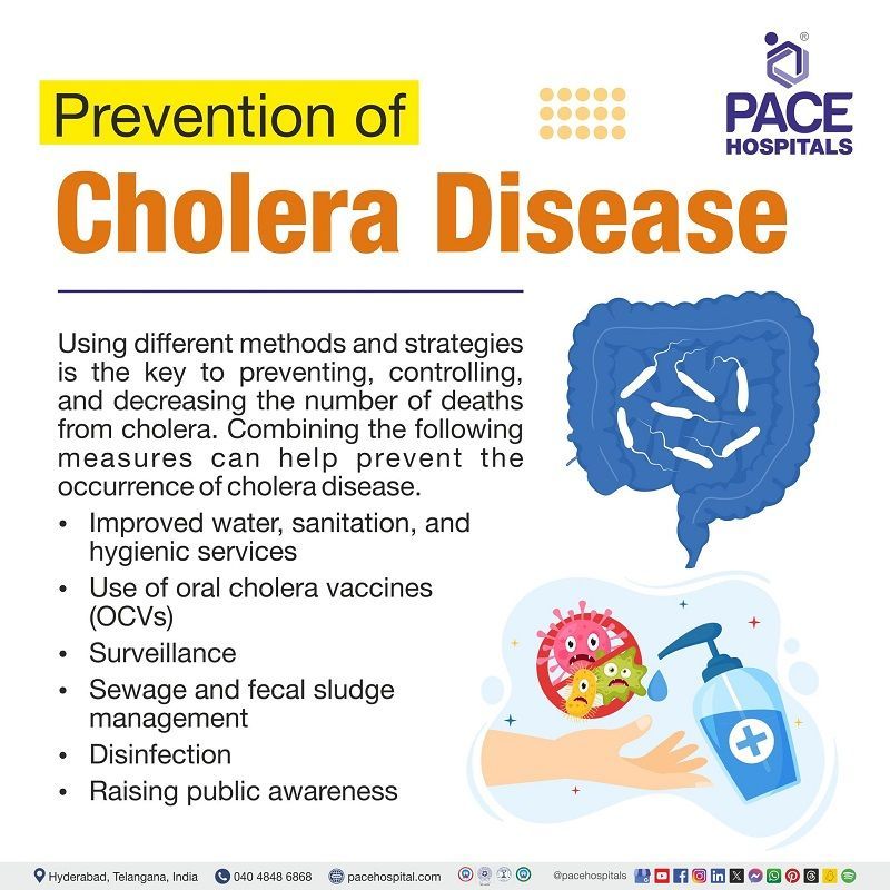 Cholera prevention | cholera prevention and control | cholera treatment and prevention | prevention of cholera disease | Visual depicting the preventive measures of Cholera disease
