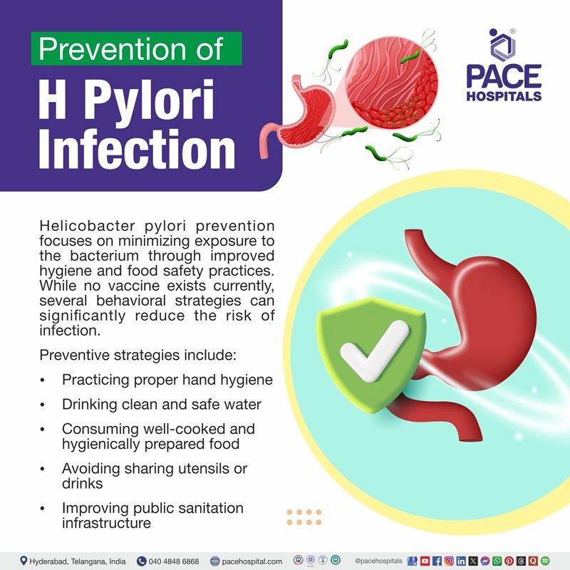 H .Pylori Preventions helicobacter pylori prevention | h pylori prevention | how to prevent recurrence of h pylori