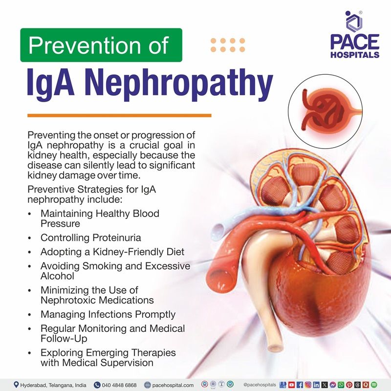 igA nephropathy Preventions | Visual depicting the preventions of igA nephropathy 