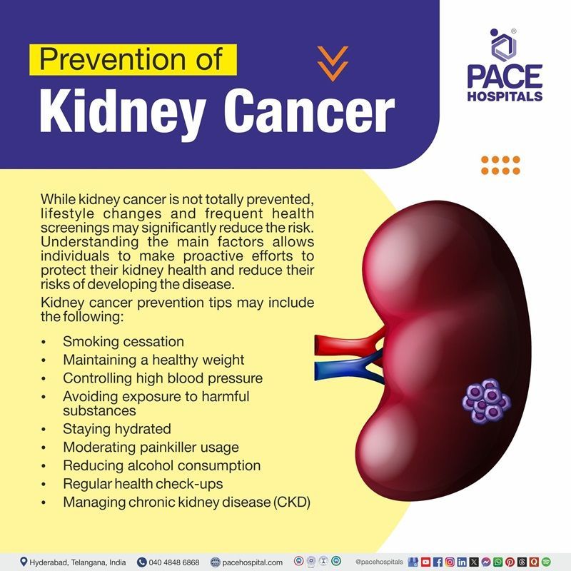 Kidney cancer preventions | Visual depicting kidney cancer preventive tips