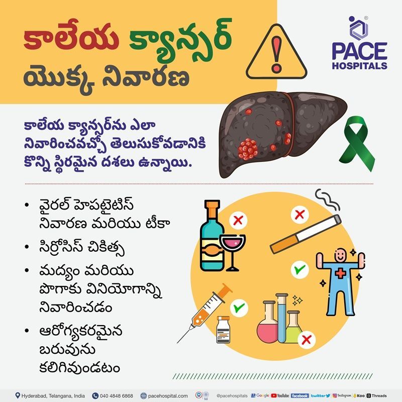 how to prevent liver cancer in telugu language | liver cancer prevention | how can liver cancer be prevented | Liver cancer prevention in telugu language