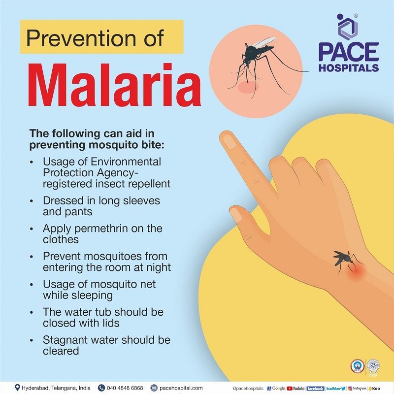prevention of malaria disease | prevention and control of malaria | preventive measures of malaria | how to prevent malaria
