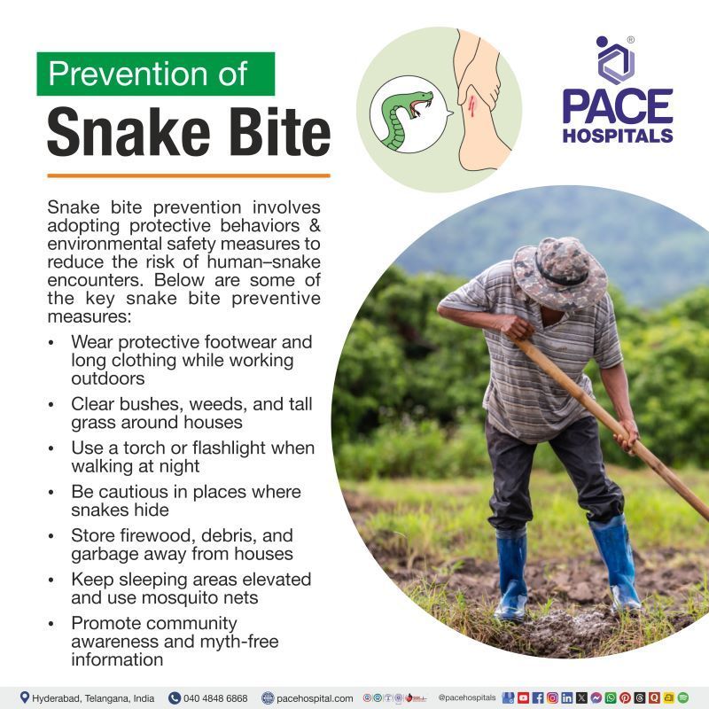 Prevention of Snake Bite | Control and prevention of snake bites | Snake bite prevention
