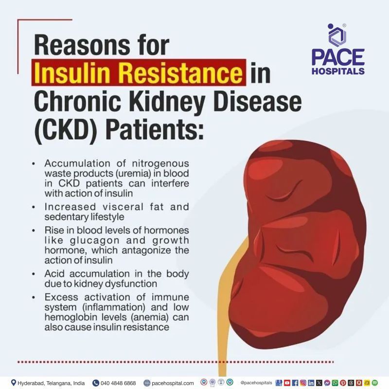 Reasons for insulin resistance in Chronic Kidney Disease - Kidney Failure