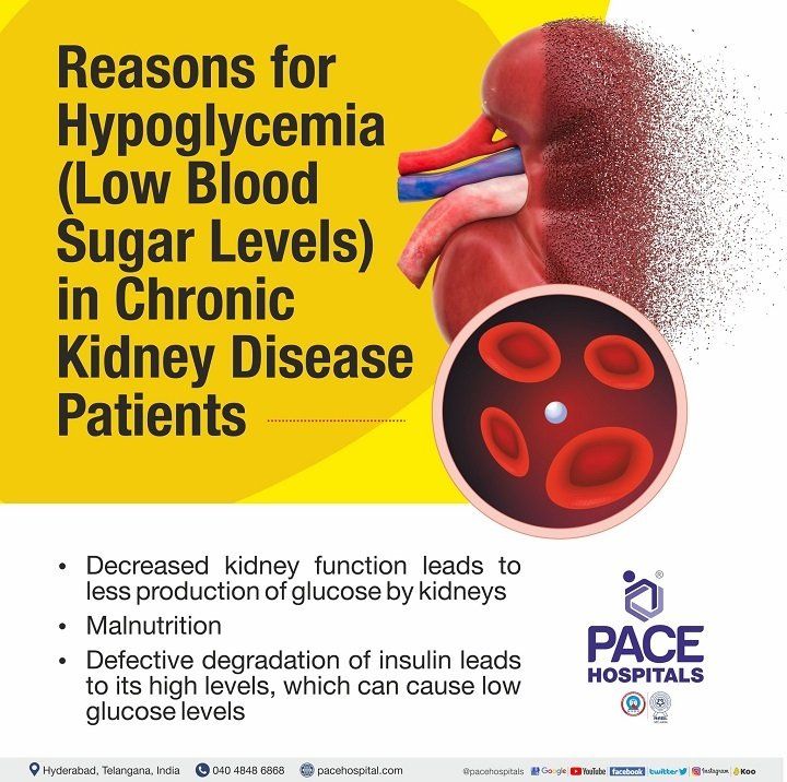 Reasons for hypoglycemia low blood sugar levels in Chronic Kidney Disease - Kidney failure