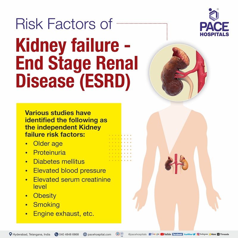 risk factors of esrd | kidney failure risk factors | reasons for kidney failure
