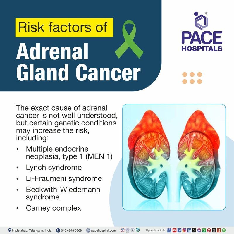 Adrenal cancer risk factors | Visual showing the various risk factors for adrenal cancer