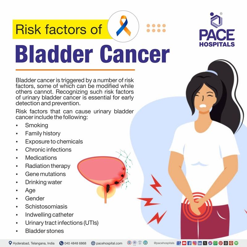 bladder cancer risk factors | visual depicting the risk factors of bladder cancer