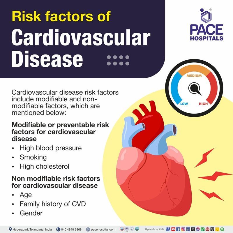 cardiovascular disease risk factors​
 | cardiovascular disease risk factors​
 | risk of cardiovascular disease elderly men​ | Visual depicting the risk factors of cardiovascular disease