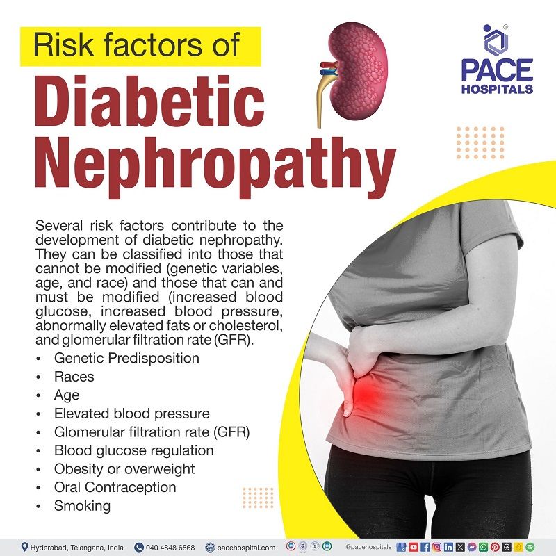 risk factors for diabetic nephropathy | diabetic nephropathy risk factors | Visual outlining the risk factors of Diabetic nephropathy