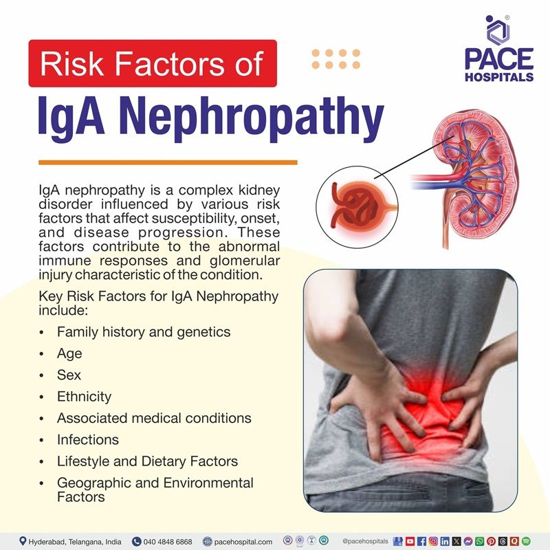 Risk Factors of igA nephropathy | igA nephropathy risk factors | image showing the risk factors of igA Nephropathy