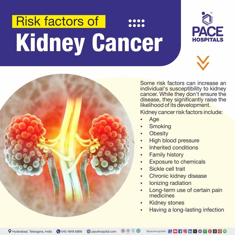 Kidney cancer risk factors | Visual depicting the risk factors of kidney cancer