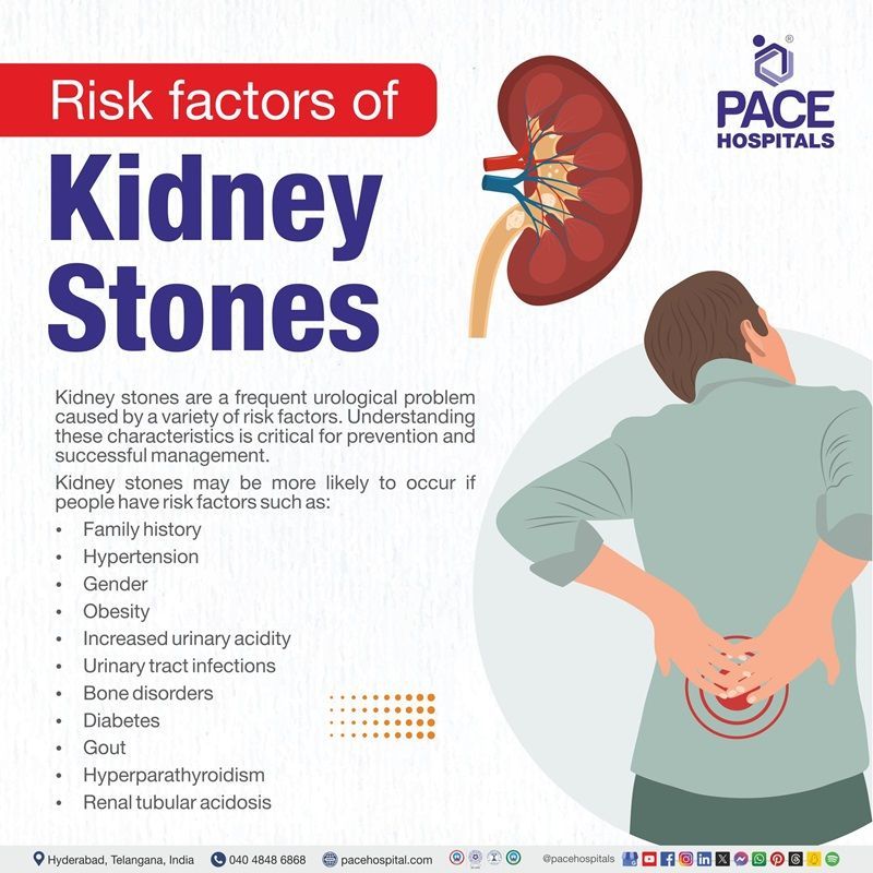 risk factors for kidney stones | risk of kidney stones | Kidney stones risk factors | Visual revealing the risk factors of Kidney stones
