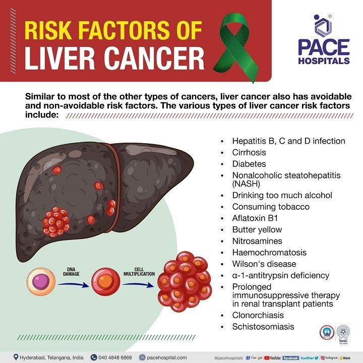 liver cancer risk factors | fatty liver and cancer risk