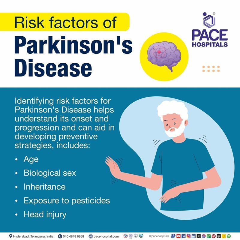 Risk factors in Parkinson's disease | Risk factors of Parkinson's disease | What are the risk factors of Parkinson's disease | Visual revealing the risk factors of Parkinson's disease
