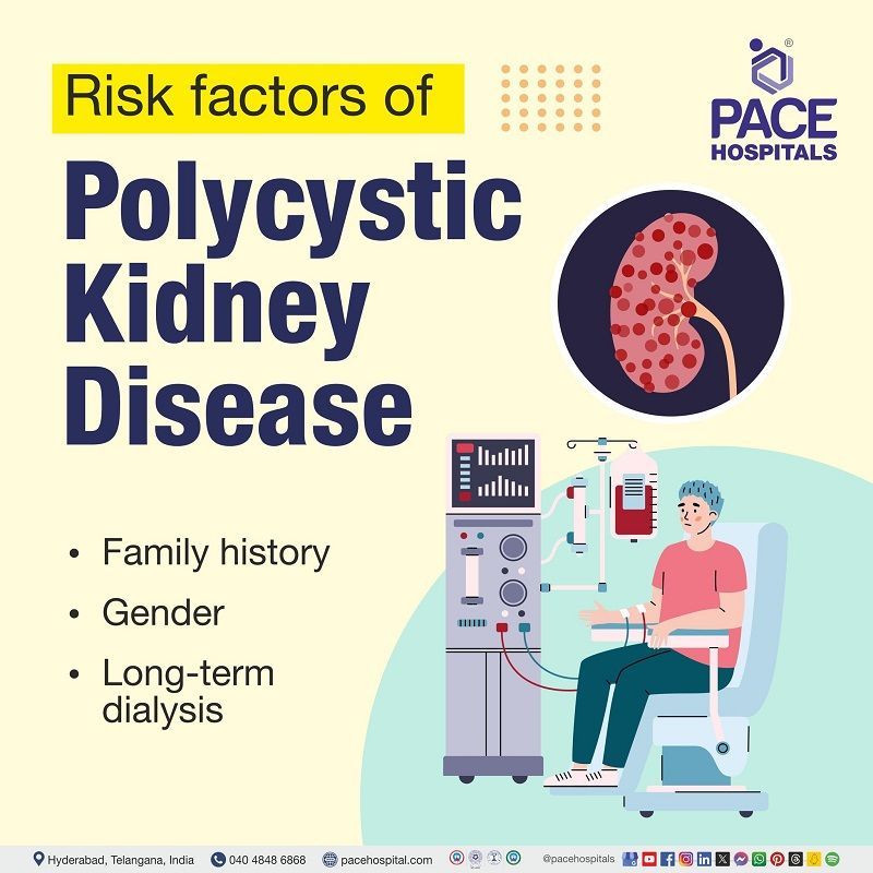 Polycystic kidney disease risk factors |  risk factors Polycystic kidney disease | what are the risk factors of Polycystic kidney disease | Visual outlining the risk factors of Polycystic kidney disease