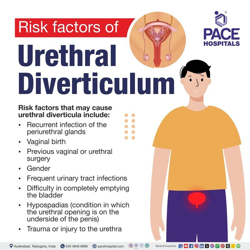 risk factors of Urethral diverticulum | Urethral diverticulum risk factors | What are the risk factors of Urethral diverticulum | visual revealing the risk factors of Urethral diverticulum 