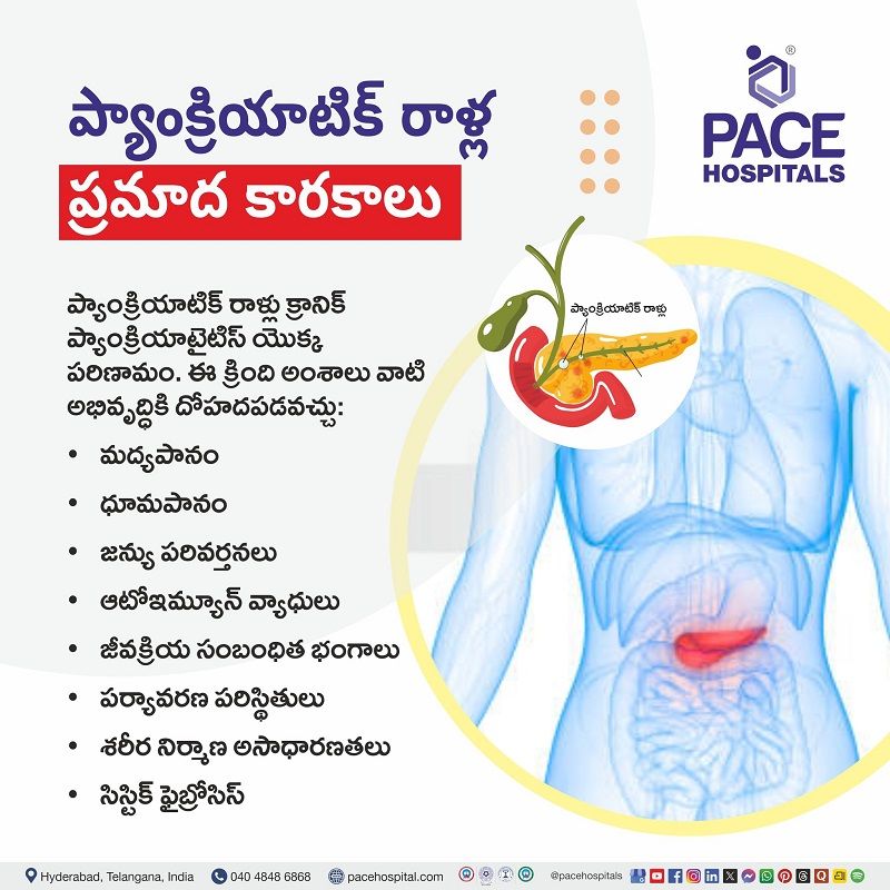 ప్యాంక్రియాటిక్ రాళ్ల ప్రమాద కారకాలు | Pancreatic Stones Risk Factors in Telugu Pancreatic Stones Risk Factors in Telugu | ప్యాంక్రియాటిక్ రాళ్ల ప్రమాద కారకాలు | Risk factors of pancreatic stones in telugu