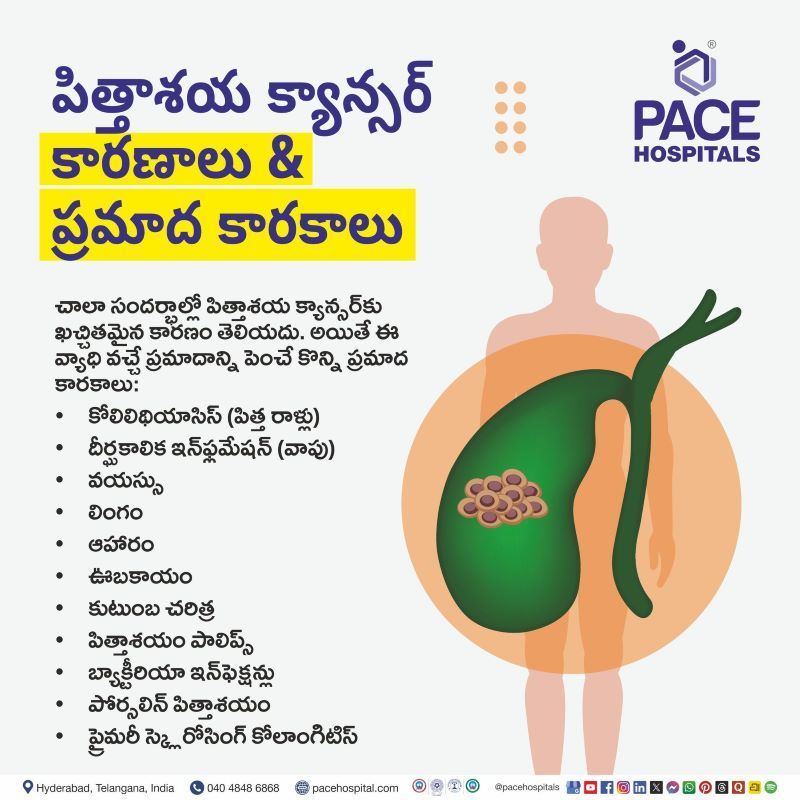 what causes gallbladder cancer in Telugu | పిత్తాశయ క్యాన్సర్ కారణాలు & ప్రమాద కారకాలు | Risk factors for gallbladder cancer in Telugu | Gallbladder cancer causes in Telugu