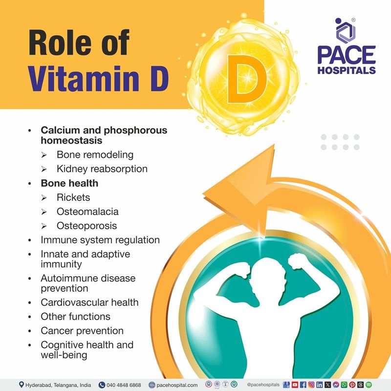 role of vitamin d​ | what is the role of vitamin d​ | role of vitamin d in human body​ | vitamin d​ role | role of vitamin d in calcium homeostasis​