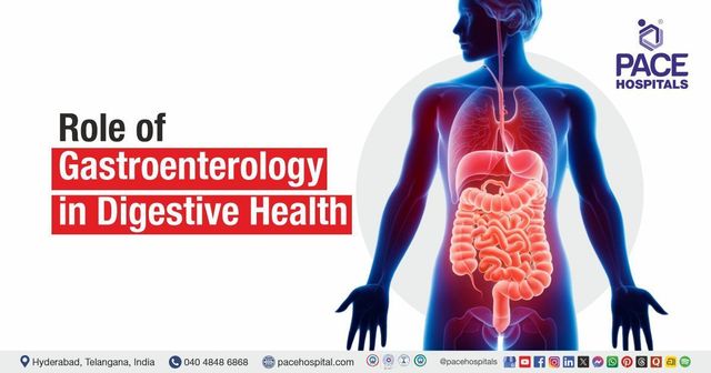 Role of Gastroenterology in Digestive Health | Gastroenterology and Digestive Health