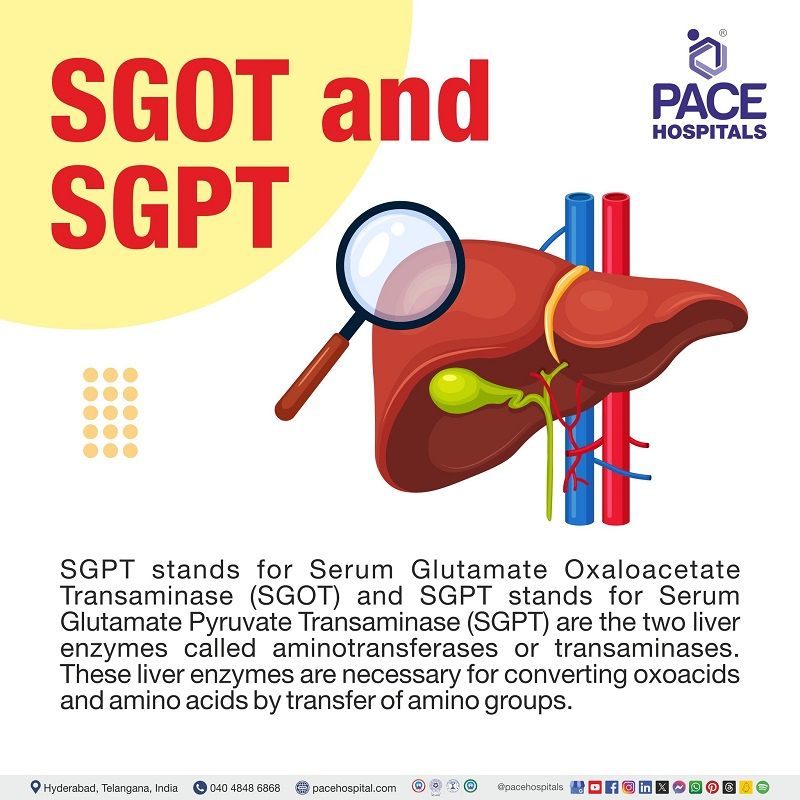 sgot and sgpt test |  sgot and sgpt high | what is sgot and sgpt, Visual depicting full form and the meaning of SGOT AND SGPT