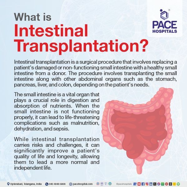 What is intestine transplant | artificial intestine transplant in Hyderabad, India | pediatric intestinal transplant | small intestine transplant success rate in India | intestinal transplant survival rates | intestinal transplant waiting list