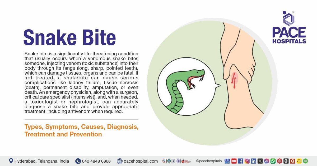 Snake Bite Symptoms, Causes, Types, Diagnosis, Treatment and Prevention | Snake Bite