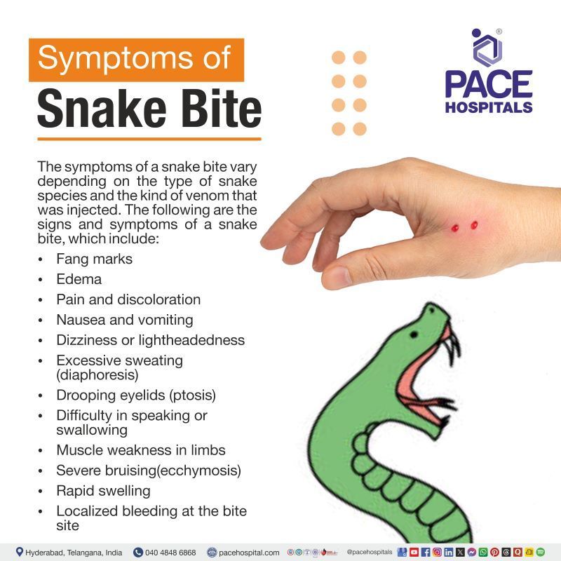 Snake Bite Symptoms | Signs and symptoms of snake bite | What are the symptoms of snake bite