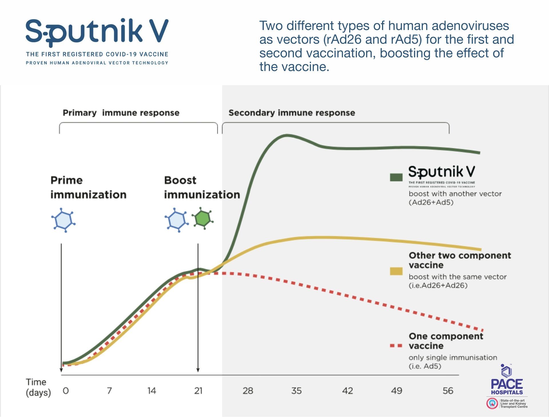 Sputnik V Vaccine – achieving long lasting immunity against COVID-19 through primary and boost immunization | Gam-COVID-Vac