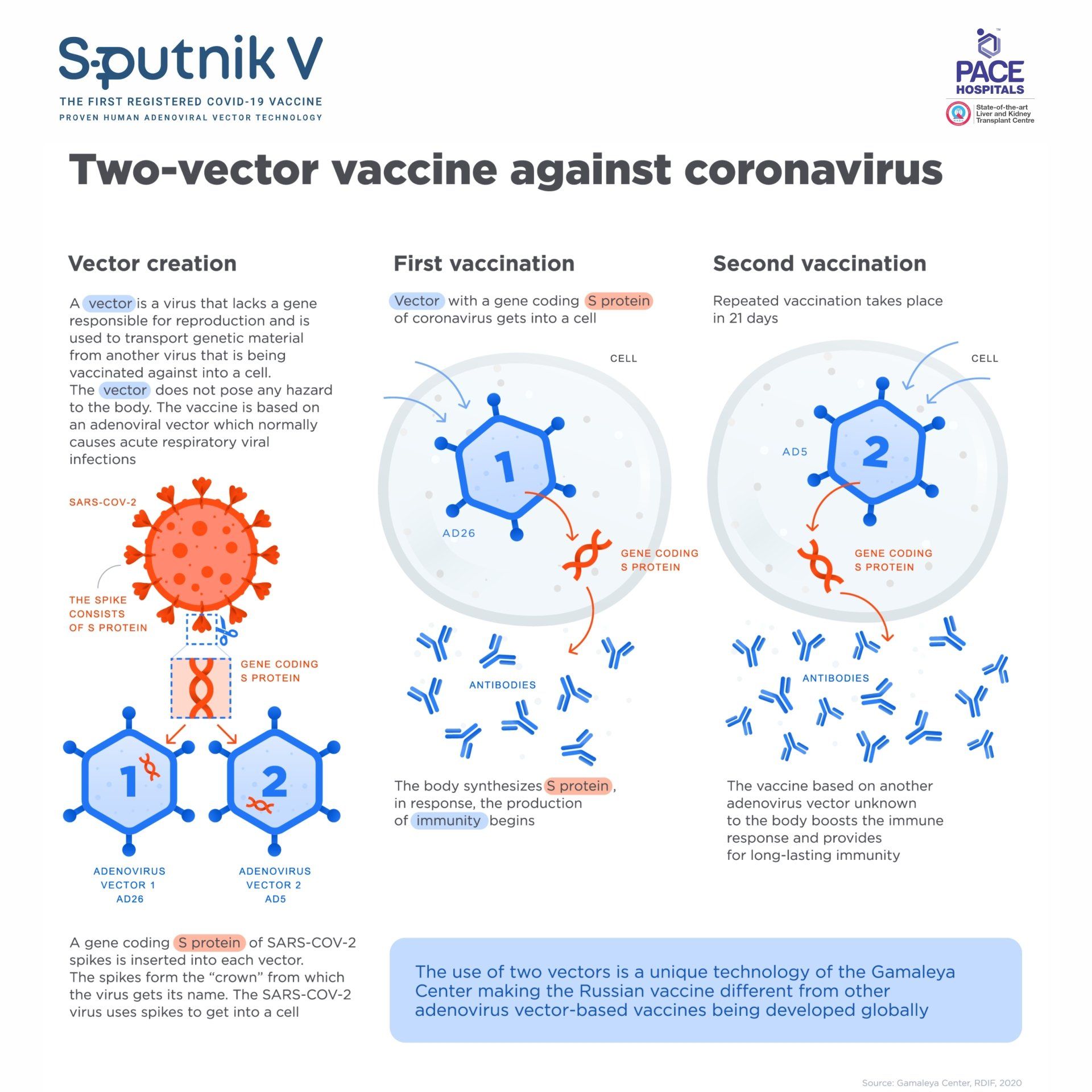 Sputnik V Vaccine based on two different human adenoviruses vector vaccine against coronavirus | Gam-COVID-Vac