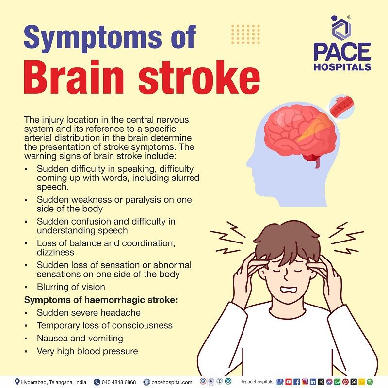 Brain stroke signs and symptoms | Symptoms of Brain Stroke | what are the symptoms of brain stroke | Symptoms before brain stroke  | Visual depicting symptoms of brain stroke 