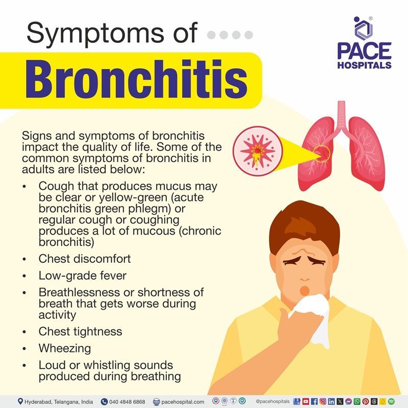 Acute Bronchitis Symptoms | chronic Bronchitis Symptoms | Symptoms of Bronchitis in adults | Visual depicting the symptoms of Bronchitis