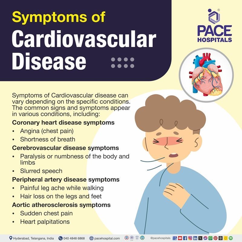 symptoms of cardiovascular disease​
 | cardiovascular disease symptoms​
 | arteriosclerosis cardiovascular disease symptoms​ | symptoms of cardiovascular disease in women​ | what are the symptoms of cardiovascular disease​