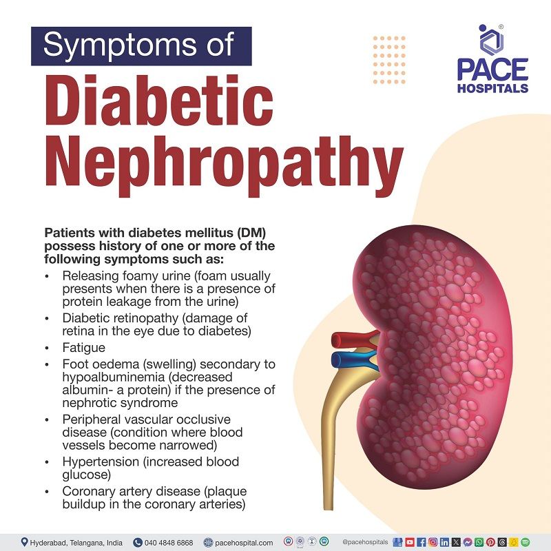 diabetic nephropathy symptoms | diabetic nephropathy signs and symptoms | what is diabetic nephropathy symptoms | Visual depicting the symptoms of Diabetic nephropathy